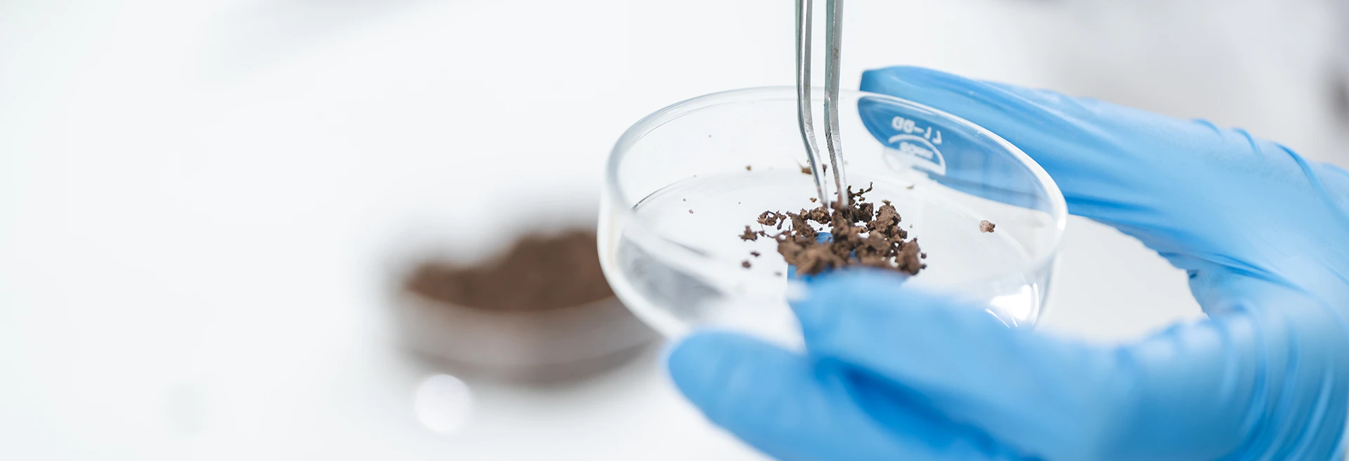 Soil pH testing in Shropshire